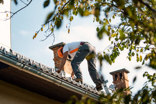 Best Roof Maintenance Services  in Tuckahoe, VA