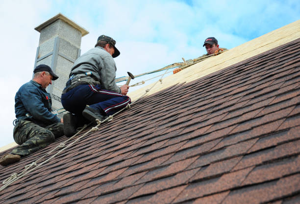 Best Gutter Installation and Roofing  in Tuckahoe, VA